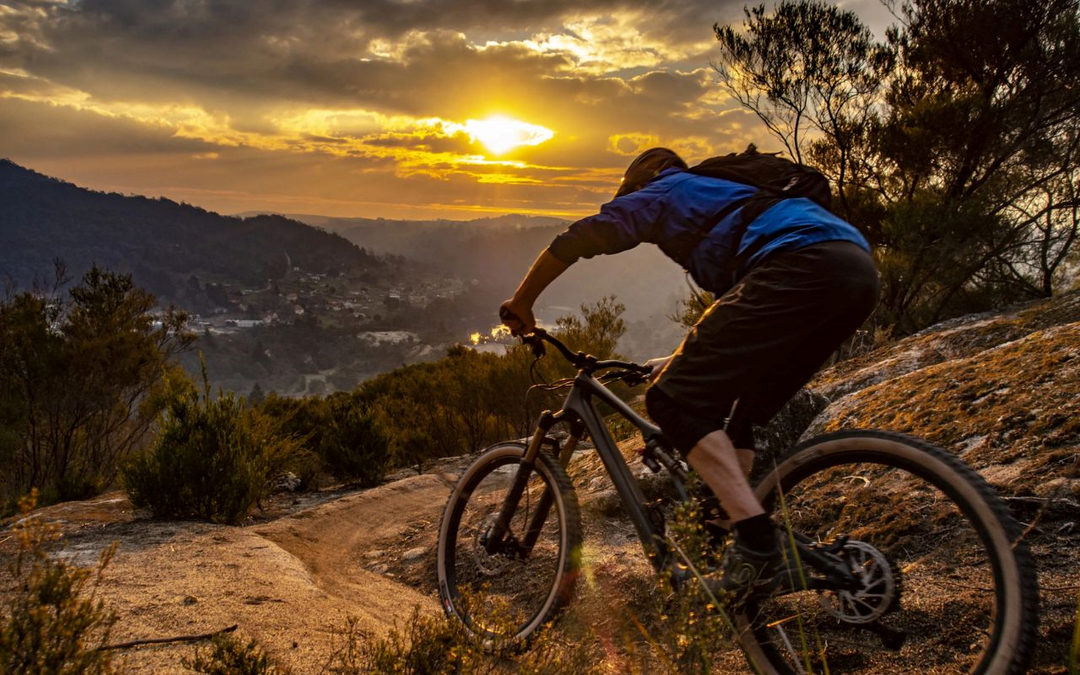 Riding into Adventure: Must-Try Bike Trails around Hobart