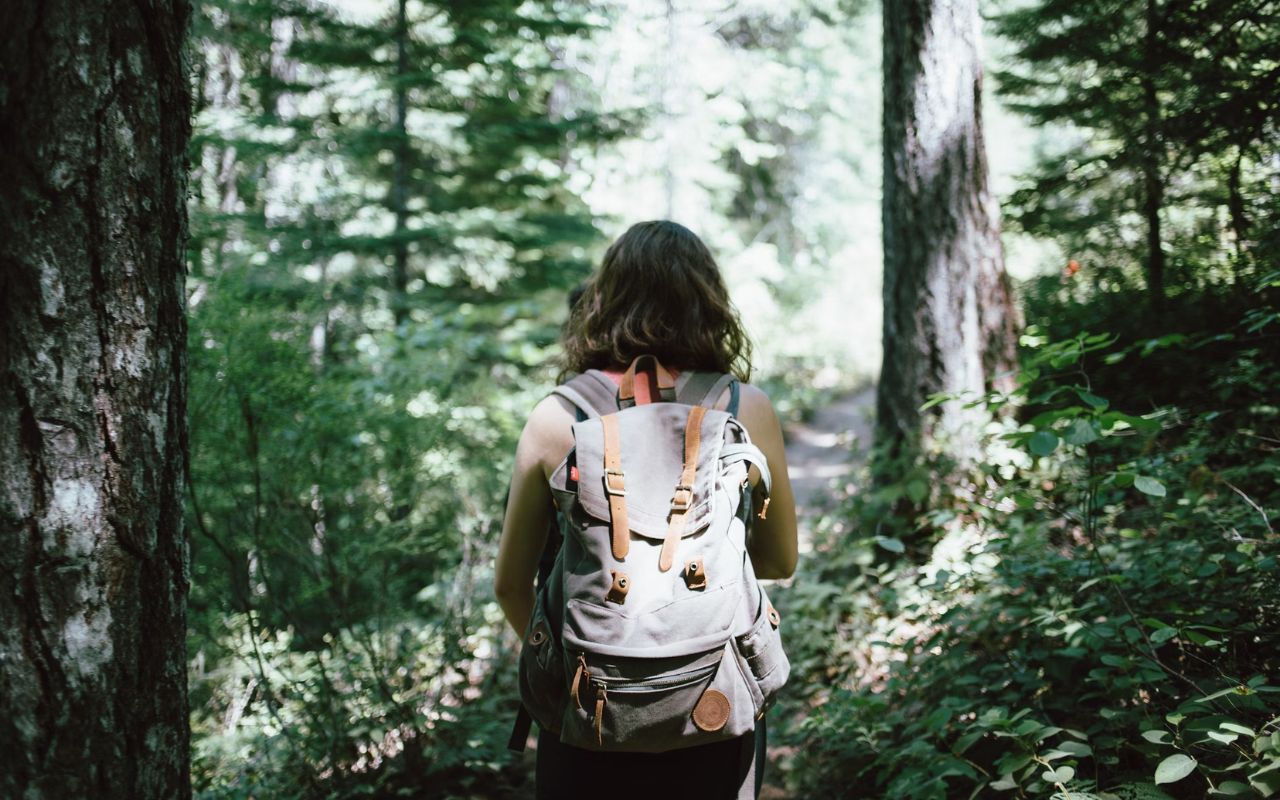 Get Lost in Nature: The Most Breathtaking Hiking Trails on the Gold Coast