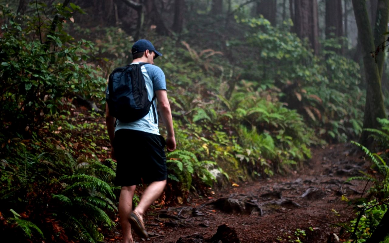 Embrace the Outdoors: Discovering Hobart's Hiking Trails