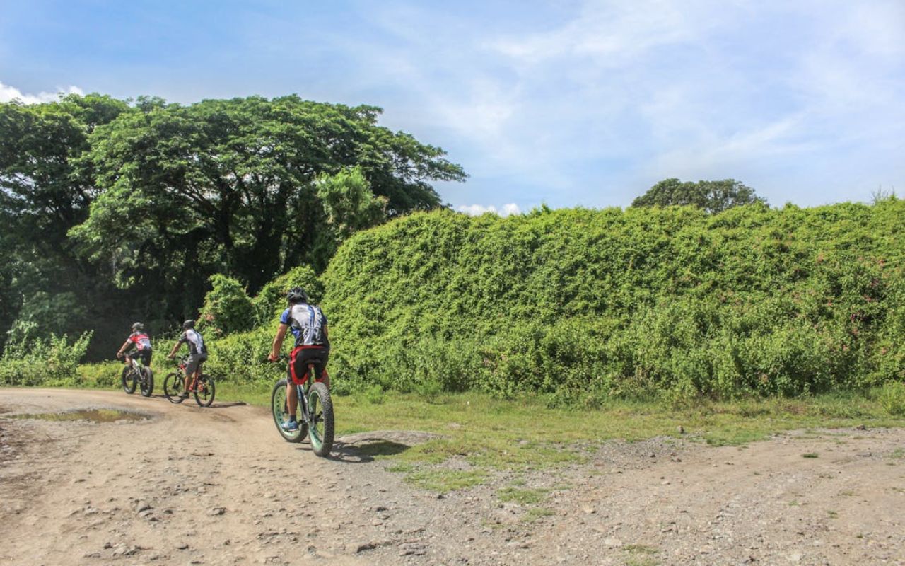 Must-Try Bike Trails for Cyclists on the Gold Coast